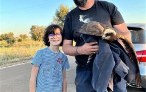 Un bambino avvista un falco in difficoltà e chiama Torre Guaceto: la storia di Al Gawsit, Marco ed il “ranger” Andrea