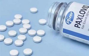Federfarma: Da lunedì 9 il farmaco antivirale orale Paxlovid contro il Covid sarà disponibile nelle farmacie pugliesi