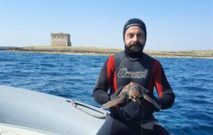 Tartaruga marina soccorsa a Torre Guaceto: nella gola l’amo di un palangaro