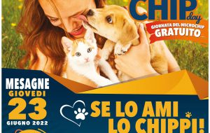 Microchip gratuito per cani e gatti, domani a Mesagne in Piazza Gioberti