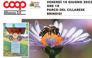 Domani arriva il Beehotel a Brindisi con il progetto Coop “Ogni ape conta”