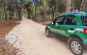 Emergenza incendi, Carabinieri Forestali: “nel brindisino situazione sotto controllo”