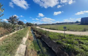 Studenti e architetti in visita lungo il Canale Reale in vista del Contratto di Fiume