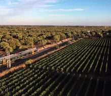 Linea Taranto – Brindisi: dalle ore 13.30 circolazione ferroviaria sospesa tra Oria e Latiano per accertamenti tecnici alla linea elettrica.