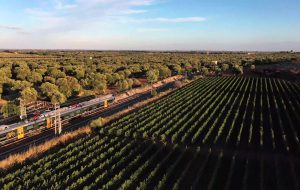 Linea Taranto – Brindisi: dalle ore 13.30 circolazione ferroviaria sospesa tra Oria e Latiano per accertamenti tecnici alla linea elettrica.
