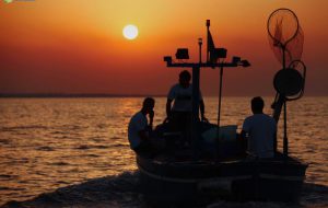 Pesce sempre più protetto a Torre Guaceto: i pescatori si fermano e un abusivo viene condannato