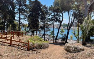 Brindisi vince il Premio “La Città per il Verde” per il recupero del Bosco Tommaseo