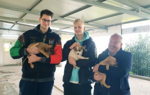 I giocatori della Happy Casa Brindisi promuovono l’adozione degli animali del canile di Brindisi