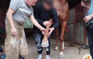 Il progetto L.In.F.A. va a gonfie vele: dritti verso la seconda fase