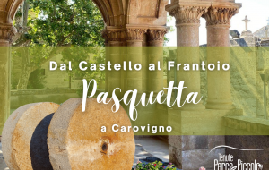 Carovigno: Dal Castello al Frantoio per una Pasquetta tra Storia, Arte, Tradizione e Natura