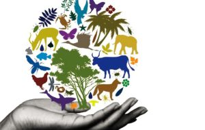 Lunedì 22 maggio si celebra la Giornata Mondiale della Biodiversità: il contributo di Tenute Lu spada