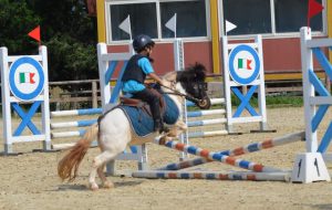 Campionato Regionale Fitetrec-ante – si affermano gli allievi di acquadueo