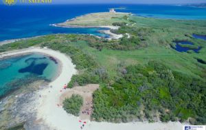 Stop alla pesca per un anno: a Torre Guaceto il progetto pilota