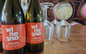 Presentato il progetto Wineaut- Vino e Autismo
