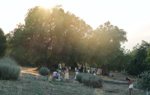 Ad Agosto torna “Teatro Madre Festival” al Parco Archeologico di Santa Maria D’Agnano