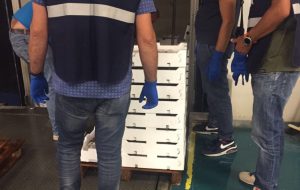 La Guardia Costiera ferma un camion frigo e trova 12 casse di prodotto ittico non tracciato