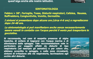 Alga tossica nelle acque del litorale di Forcatella e Torre Canne: divieto di balneazione