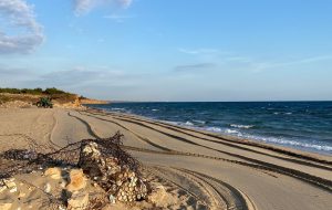 Ecotecnica: “litorale pulito, le alghe vengono abbancate come disposto dal Comune”