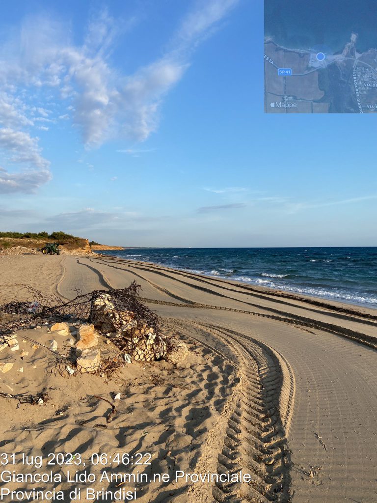 Ecotecnica: “litorale pulito, le alghe vengono abbancate come disposto dal Comune”