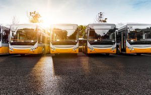 Brindisi medaglia d’oro in Puglia per autobus elettrici in circolazione