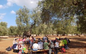 Giovedì 3 a Tenute Parco Piccolo “Orecchiette Cooking Class e degustazioni tipiche”