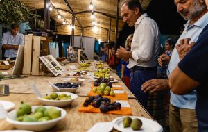 Festival del Fico Mandorlato: edizione 2023 tra tradizione e innovazione