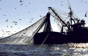 Capitaneria di Porto: stop alla pesca a strascico dal 4 settembre al 3 ottobre