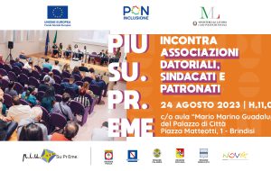 Il Progetto PIU Su.Pr.Eme incontra Organizzazioni Datoriali, Sindacati e Patronati