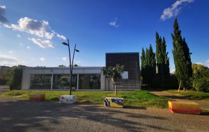 Il Salento e lo spettacolo delle lucciole: il 21 settembre a Mesagne la presentazione del libro