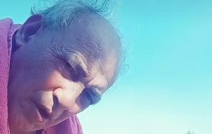 Tragedia nelle campagne brindisine: muore il tiktoker Franco D’Amone, vittima delle Api