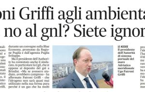 Bufera su Patroni Griffi dopo la frase sugli ambientalisti ignoranti che avversano il gnl