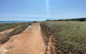 Dal GAL arrivano tre progetti di riqualificazione del patrimonio comunale di Ostuni tra cui l’antico tracciato della via del Procaccia