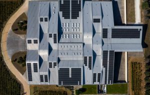 Cantine Tormaresca ed Enel X insieme per la transizione energetica e l’ambiente