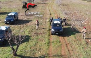 Processo “The Wolf”: inflitte condanne per oltre 270 anni di carcere. Tra i beni confiscati un cavallo che è stato affidato ai Carabinieri