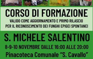 A San Michele un corso per il riconoscimento dei funghi epigei spontanei
