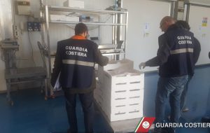 Operazione della Guardia Costiera a tutela della filiera della pesca