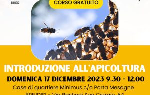 Corso gratuito per l’introduzione all’apicoltura
