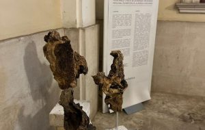 “Facie Naturae: il volto della natura”: la mostra d’arte di Laurenzia Crescenzo a Fasano