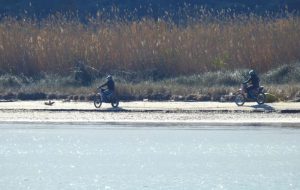 Moto da cross nella riserva naturale di Torre Guaceto: il Presidente Malatesta ringrazia i Carabinieri