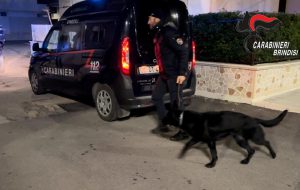 Vendetta contro il ladro di moto: tre persone arrestate per tentato omicidio aggravato e sequestro di persona