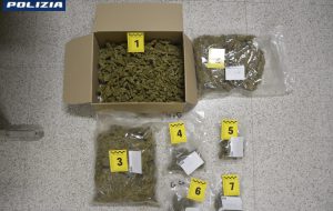 Spaccio a Brindisi, scoperto un giro di fumo ed erba: sequestrati oltre 700 grammi, due arresti