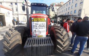 I trattori invadono Brindisi: prosegue la protesta degli agricoltori