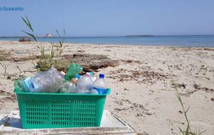 Spazziamo via l’inverno: torna la pulizia spiagge di comunità di Torre Guaceto