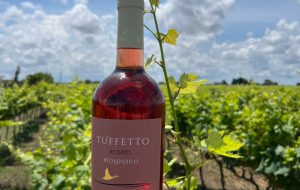 La Guida al Bere Rosa premia “Tuffetto” tra le eccellenze dei vini rosati italiani per il 2024.