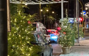 Alberi di Natale, con i proventi delle adozioni verrà realizzato un parco giochi inclusivo in Villa Comunale