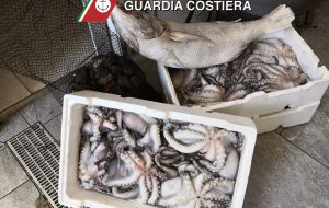 La Guardia Costiera sequestra due quintali di Prodotti Ittici