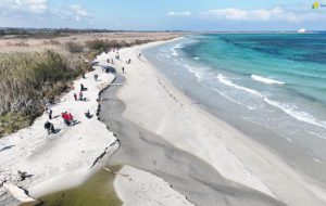 Da tutta la Puglia a Torre Guaceto per la pulizia spiagge: raccolti 170 sacchi