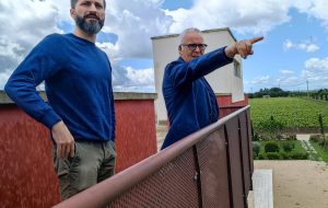 Brindisi oltre l’industria: il rinascimento dell’agro brindisino tra tradizione e innovazione come contributo al suo futuro. Di Carmine Dipietrangelo