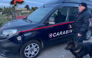 Operazione Full Service: sgominato vasto giro di droga nella zona sud della Provincia di Brindisi