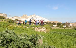 Bi-Hortus organizza Pulizia orti e messa a dimora di erbe spontanee ad Ostuni